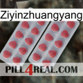 Ziyinzhuangyang 19